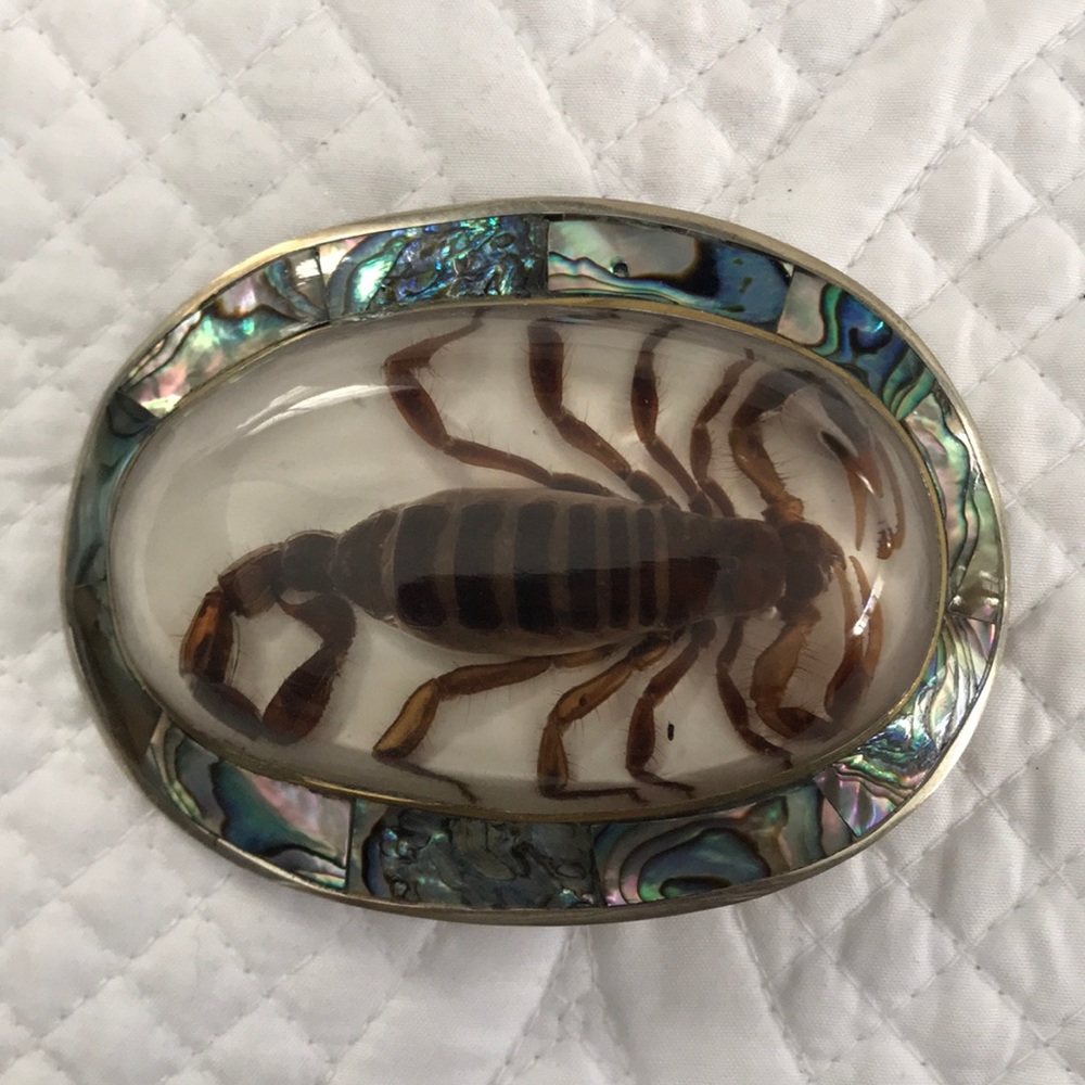 SCORPION encased in acrylic - belt buckle
